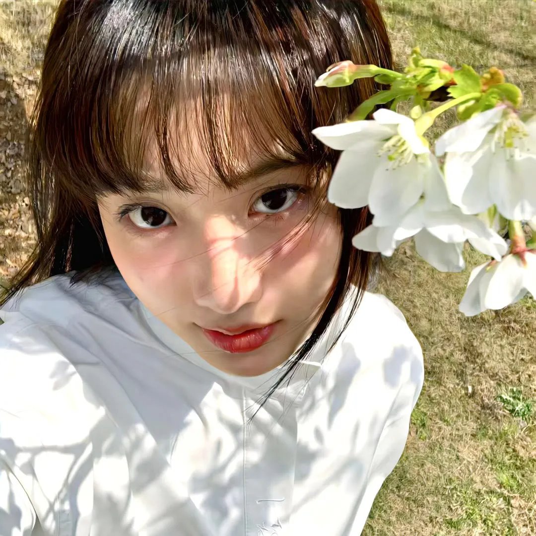 沙之花也有春天